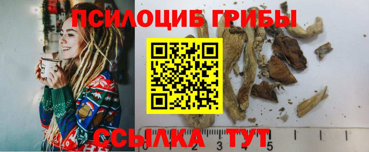 Псилоцибиновые грибы ЛСД  Вход с VPN  Рязань 